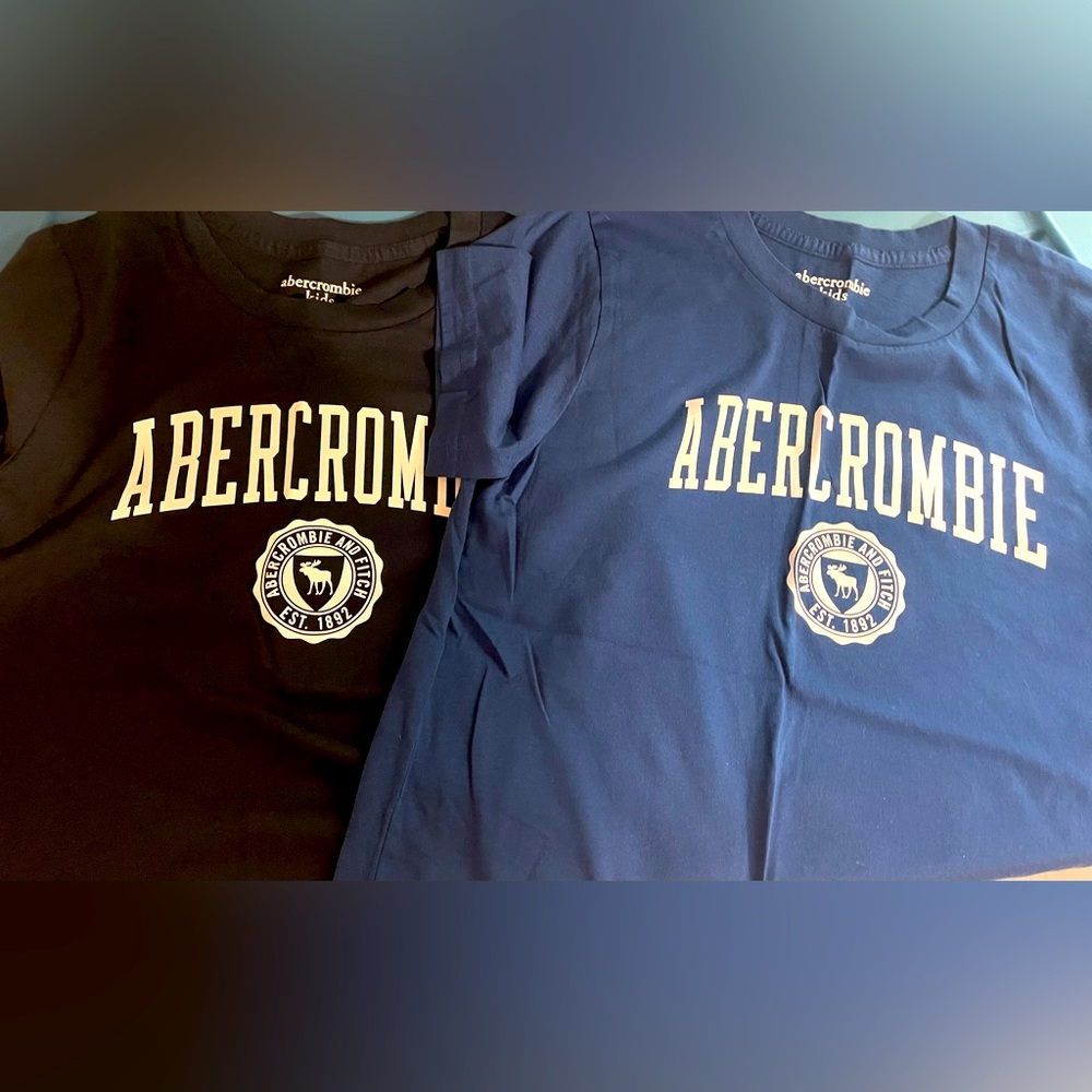 Abercrombie Kids Boy’s Short Sleeve T-shirt, (Set of 2) Blue, size 13/14